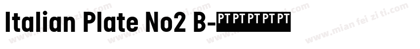 Italian Plate No2 B字体转换